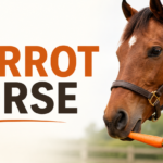 A chestnut horse gently eating a fresh carrot from a person’s hand in a green pasture.