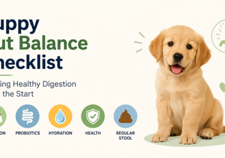 Puppy Gut Balance Checklist