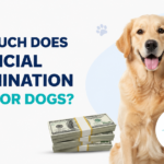Golden retriever with a veterinary fertility symbol and money representing the cost of artificial insemination for dogs.
