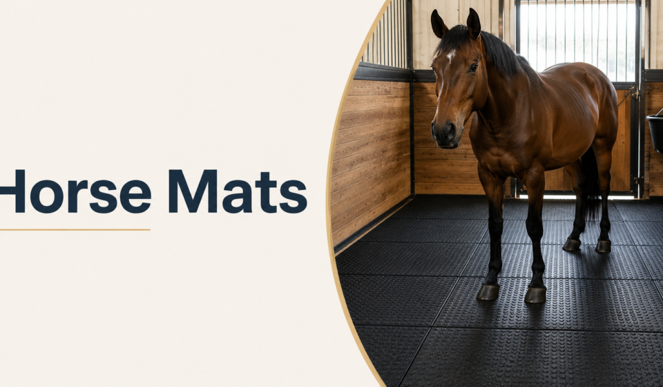 A horse standing on rubber mats inside a clean stable.