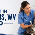 Veterinarian caring for a dog and cat in a welcoming animal clinic.