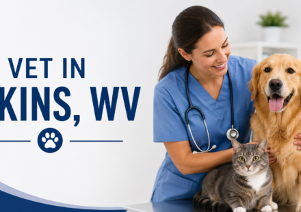 Veterinarian caring for a dog and cat in a welcoming animal clinic.