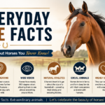 EHV in Horses: Symptoms, Treatment, and Prevention Guide