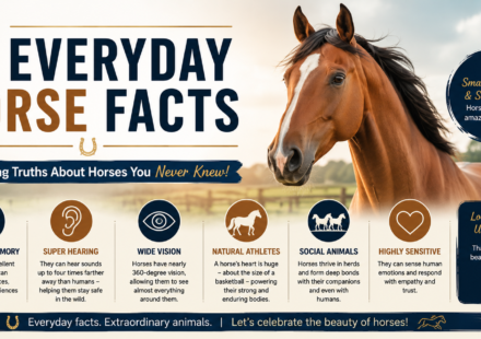 EHV in Horses: Symptoms, Treatment, and Prevention Guide
